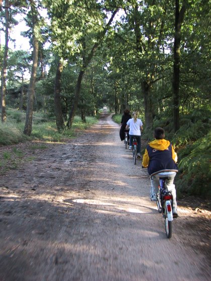 Bike Trails Near Oisterwijk