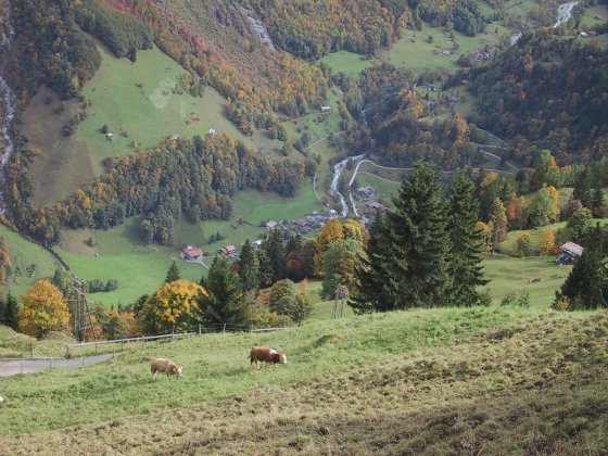 Gimmelwald