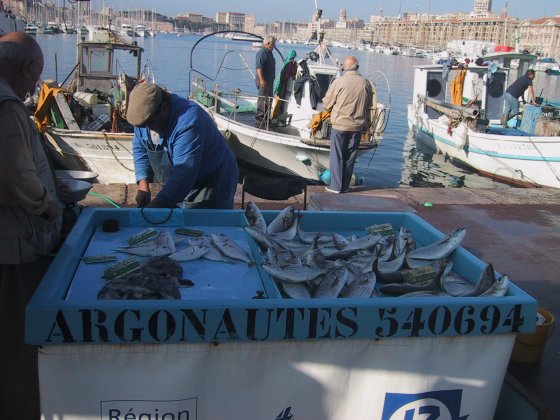 Marseille Fish Market