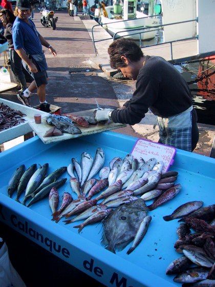 Marseille Fish Market