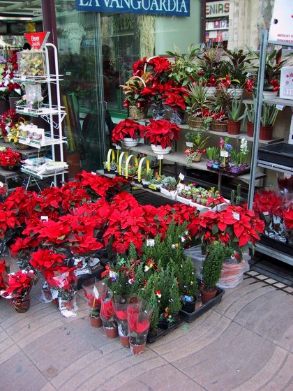 La Rambla Flower Stall