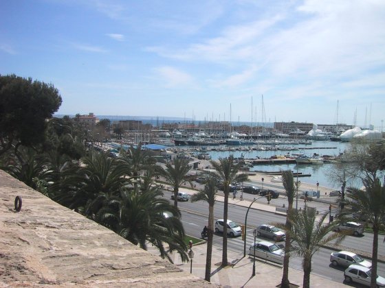 Palma Harbour