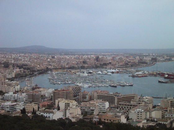Harbour Views