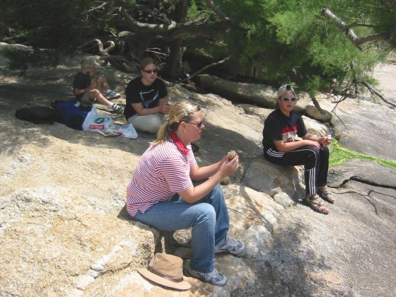 Picnic Lunch