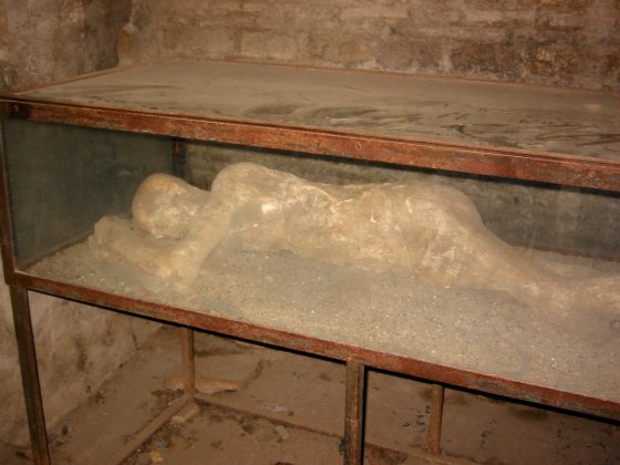 Preserved Body