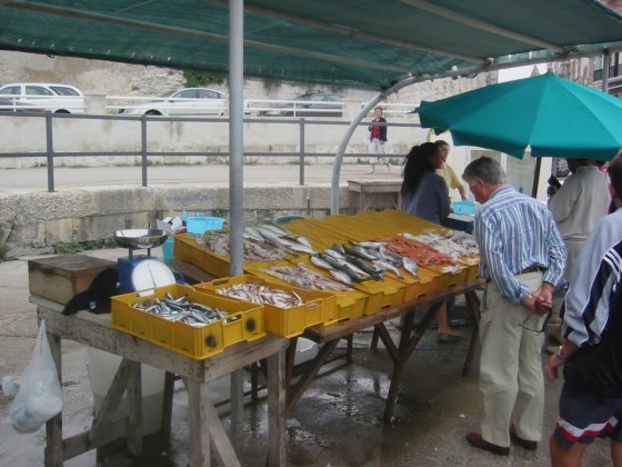 Fish Market