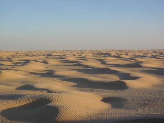 Sahara