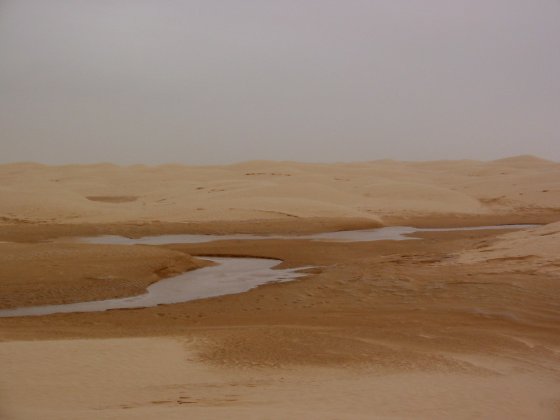 A River in the Desert