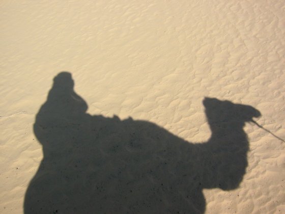 Sand and Shadows