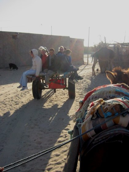 Donkey Cart