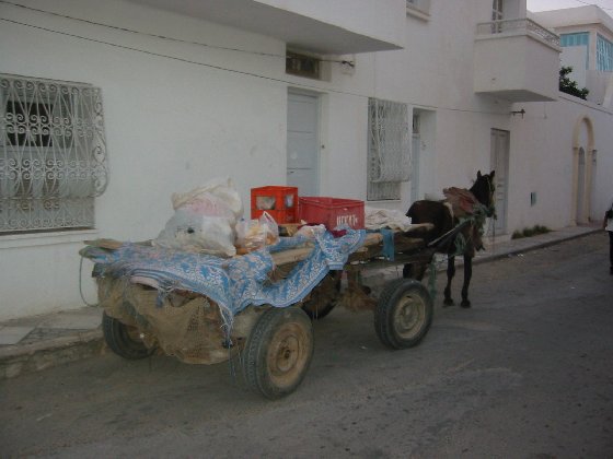 Horse Cart