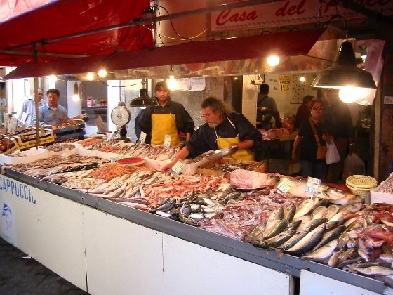 Fish Display