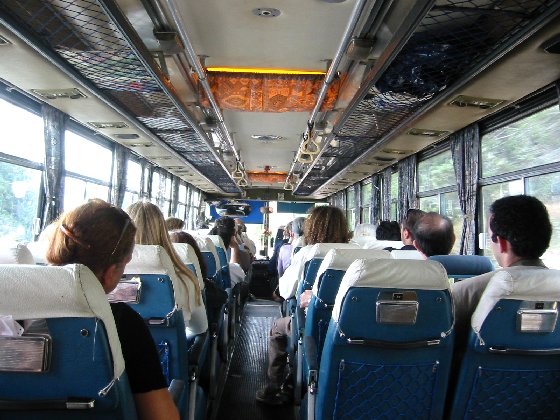 Bus