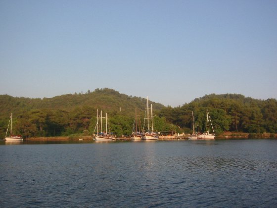 English Harbour