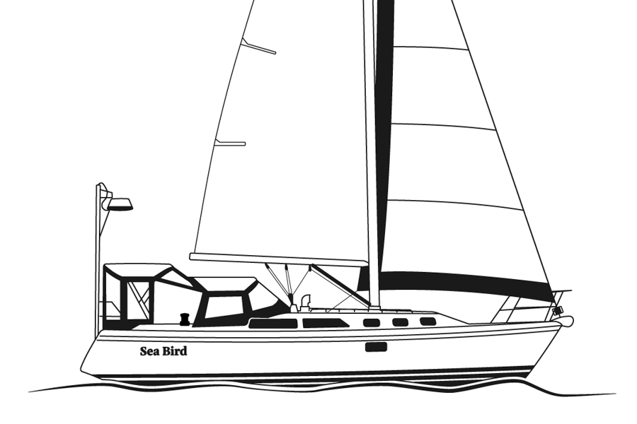 Sea Bird Catalina 34 Black and White Drawing