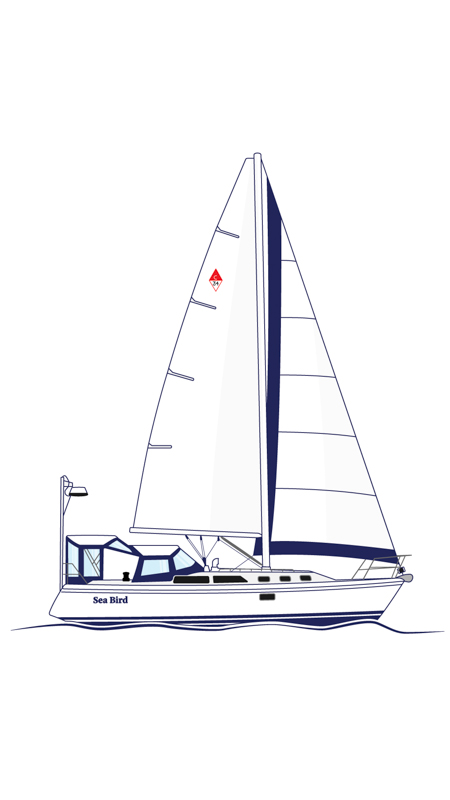 Sea Bird Catalina 34 Colour Drawing