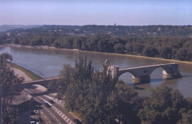 Pont D'Avignon