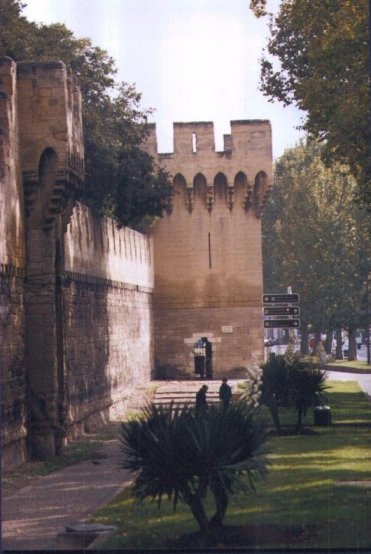Avignon Wall